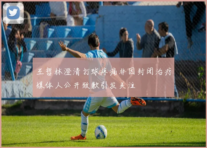 王哲林澄清打球疼痛非因封闭治疗媒体人公开致歉引发关注